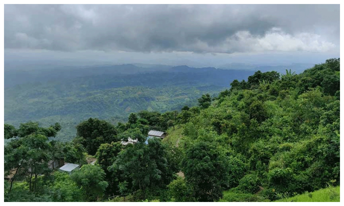 ছবি - সংগৃহীত