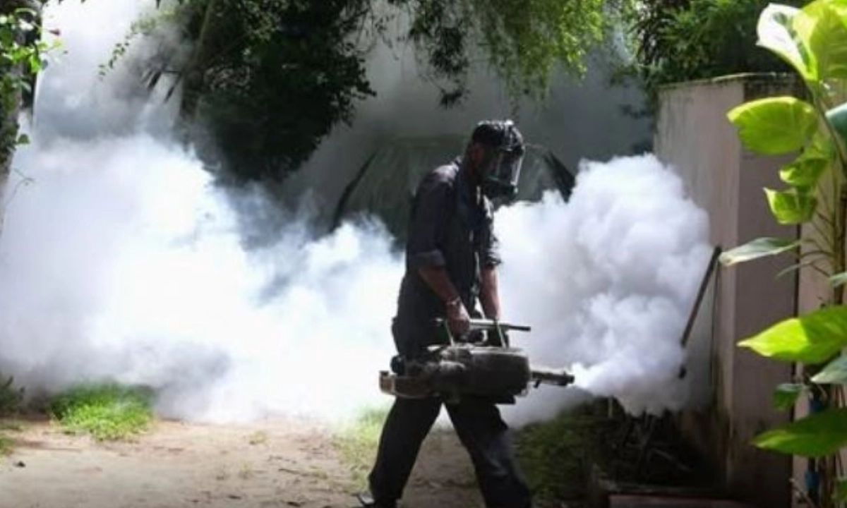 ছবি : সংগৃহীত