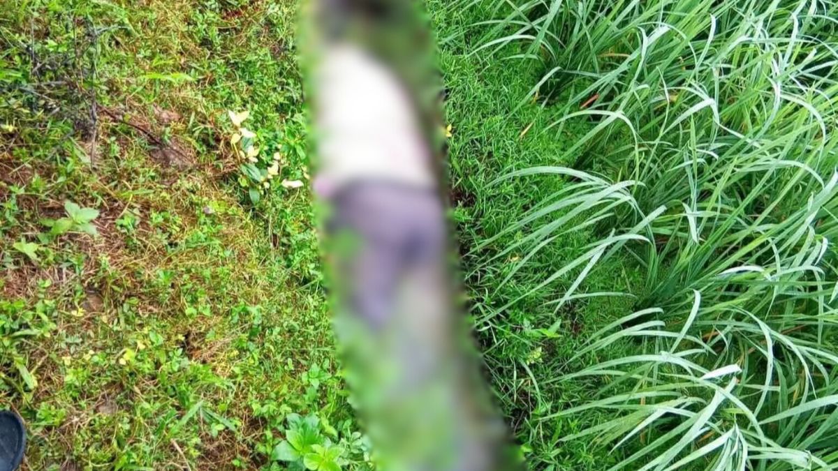 ধানখেতে পড়ে নিতাই রবিদাসের মরদেহ। ছবি- রূপালী বাংলাদেশ