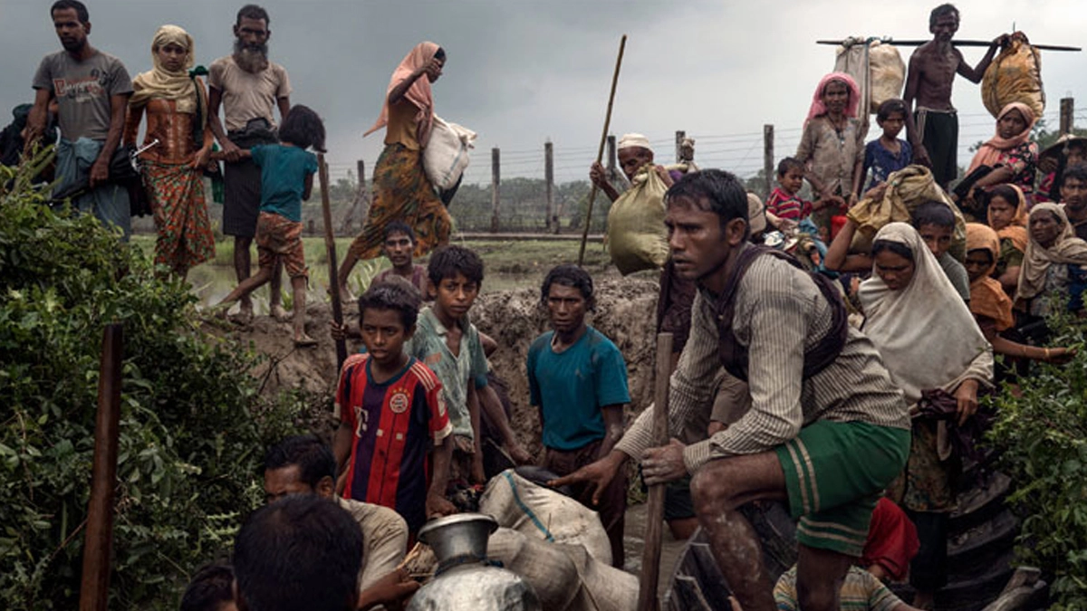 ছবি- সংগৃহীত