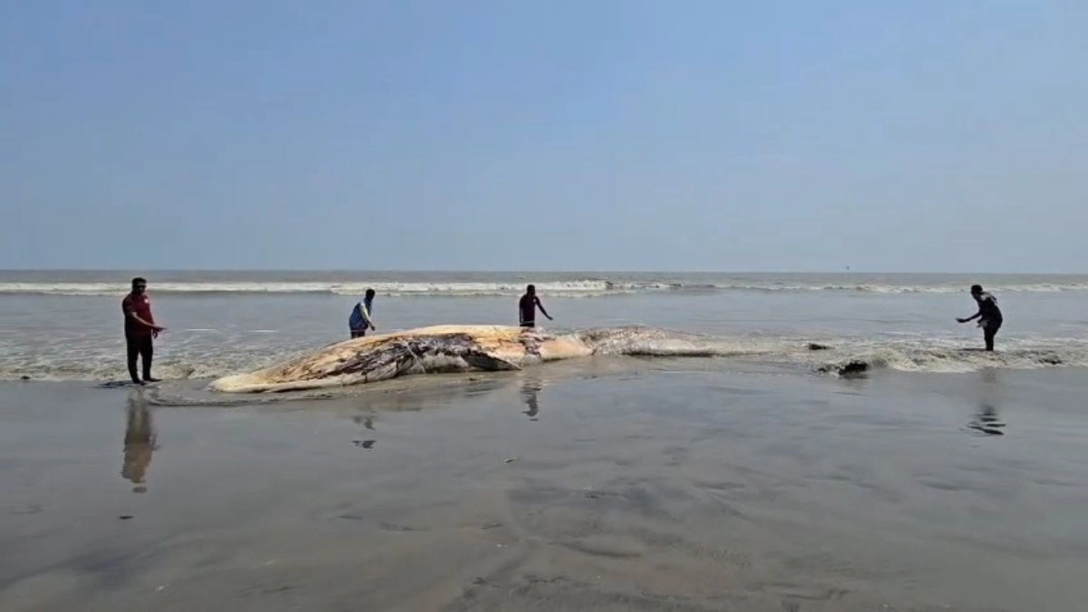 ছবি : রূপালী বাংলাদেশ