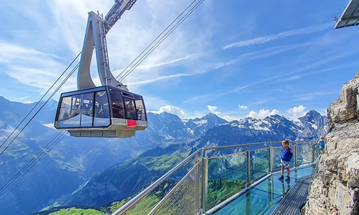 ছবি - সংগৃহীত