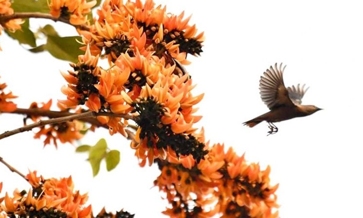 ছবি : সংগৃহীত