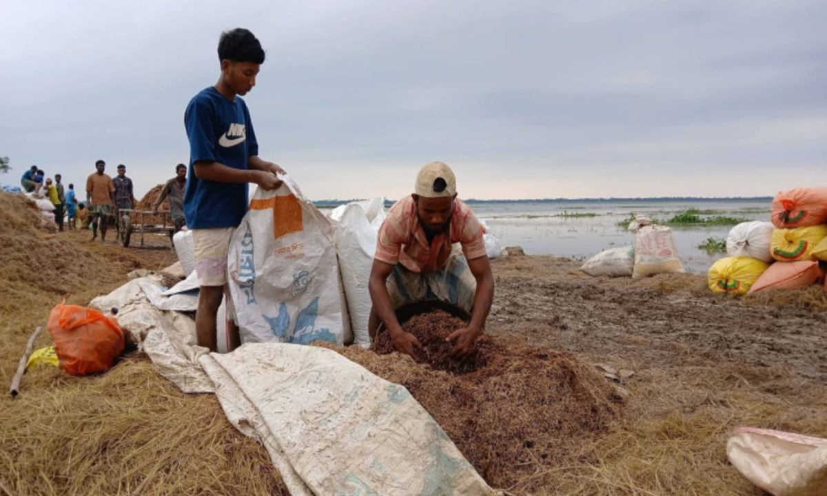 ছবি : সংগৃহীত