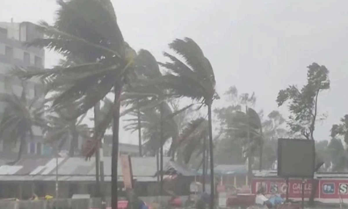 ছবি : সংগৃহীত