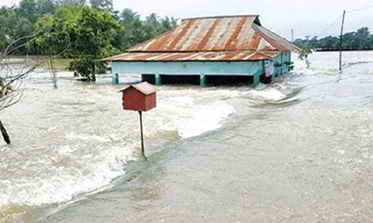 ছবি : সংগৃহীত