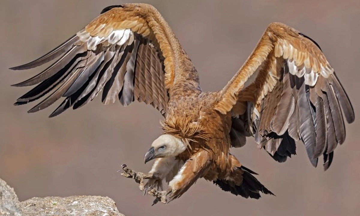 ছবি - সংগৃহীত