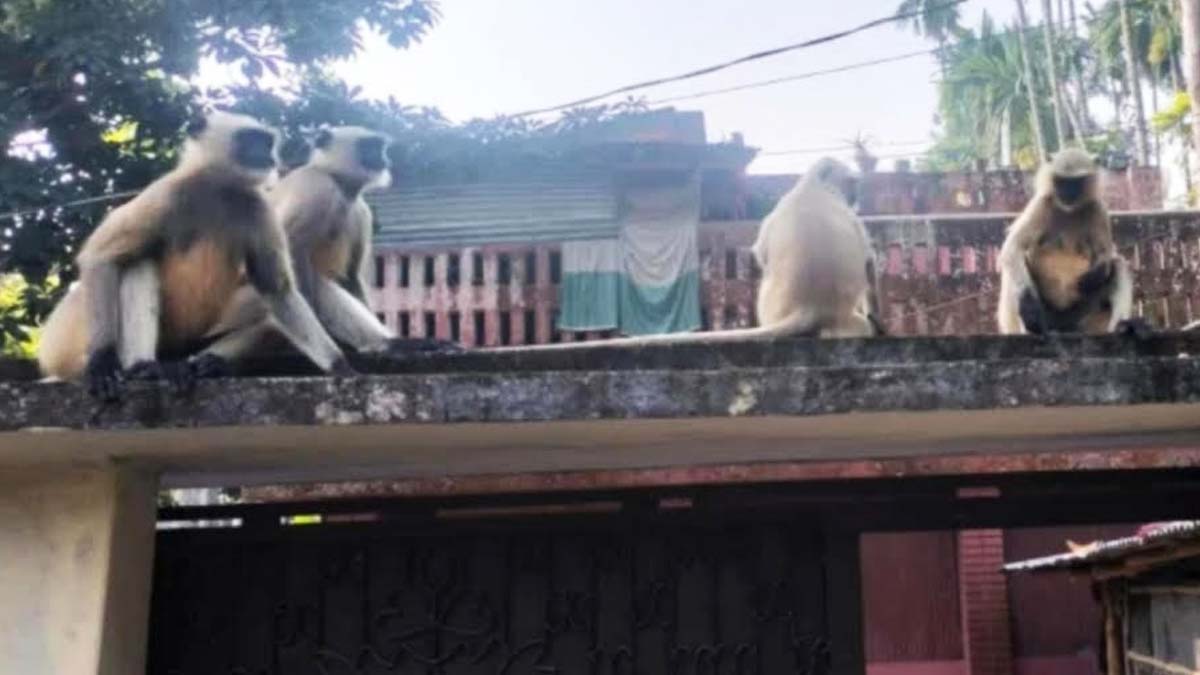 ছবি- রূপালী বাংলাদেশ