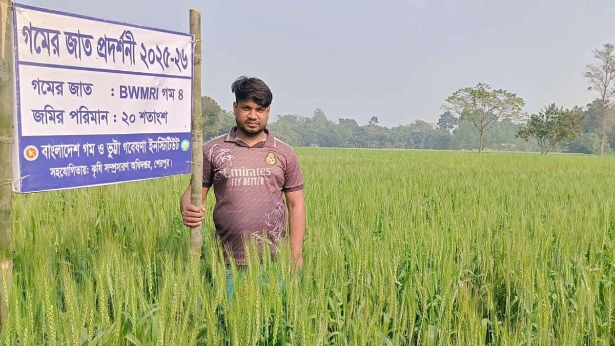 ছবি- রূপালী বাংলাদেশ
