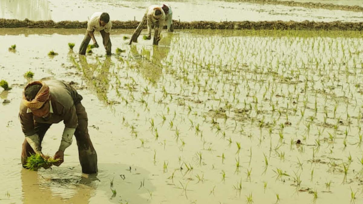 ছবি- রূপালী বাংলাদেশ