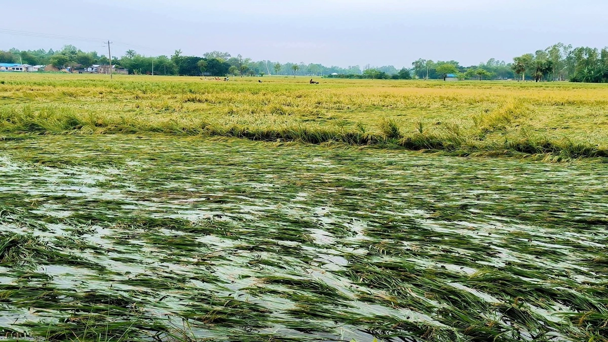 ছবি- রূপালী বাংলাদেশ
