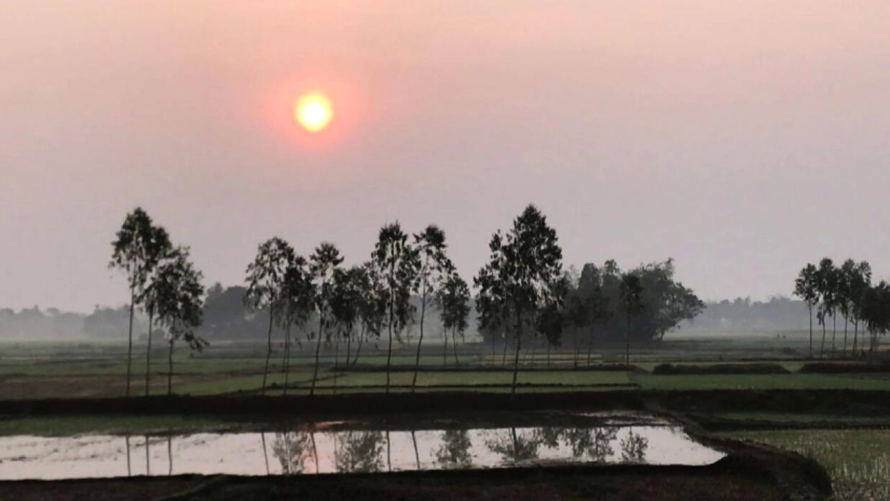 ফাইল ছবি