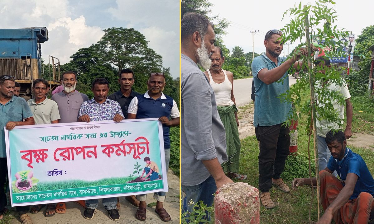 জামালপুরের সরিষাবাড়ীতে বৃক্ষরোপন। ছবি- রূপালী বাংলাদেশ