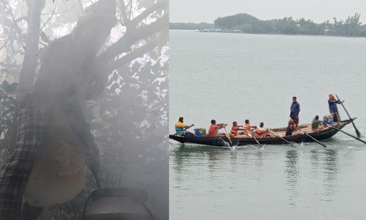 ছবি- সংগৃহীত