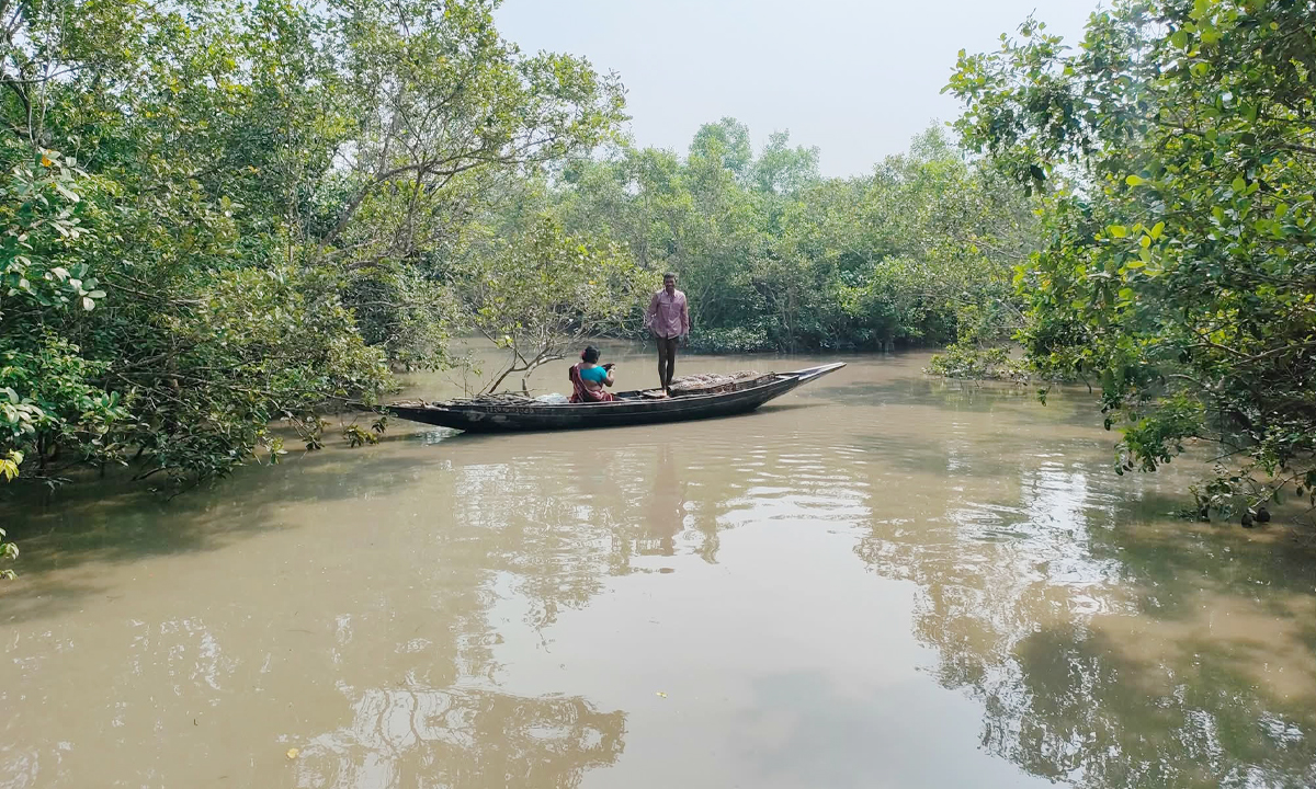 সুন্দরবনের প্রতীকী ছবি (সংগৃহীত)
