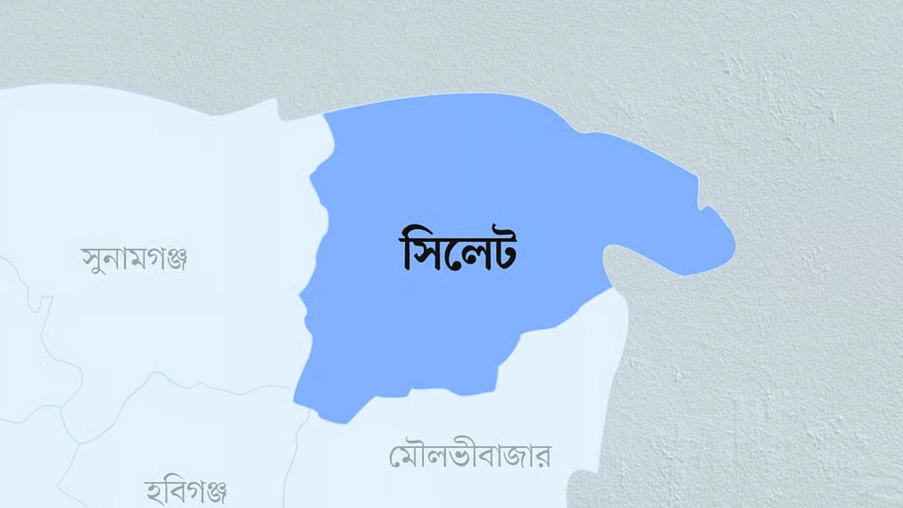 সিলেটের বিশ্বনাথে বাসের চাপায় শিশুর মৃত্যু