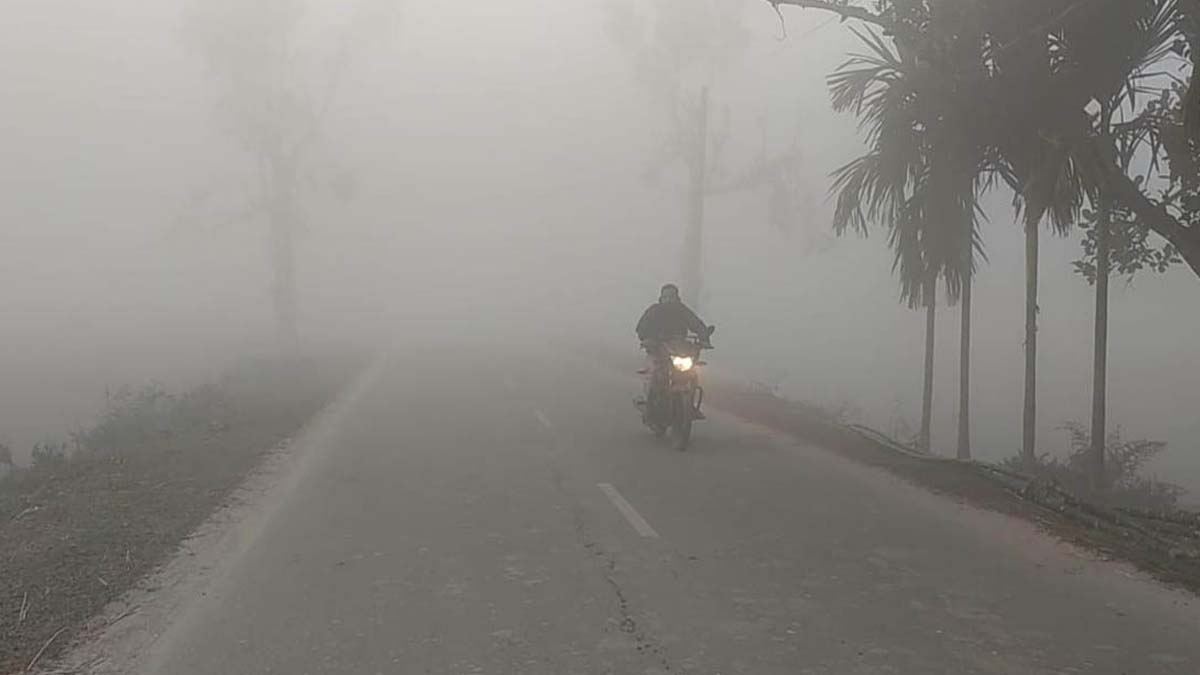 ছবি : সংগৃহীত