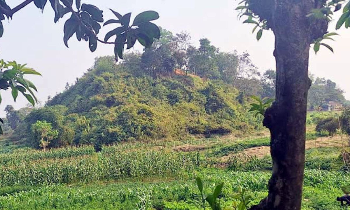টেকনাফ সীমান্ত। ফাইল ছবি