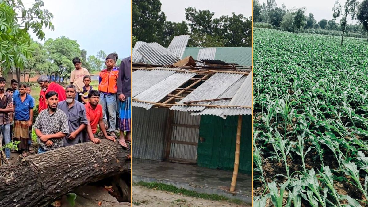 ছবি : রূপালী বাংলাদেশ