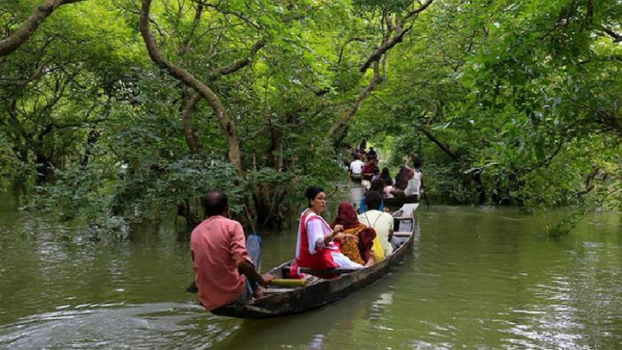 সেন্টমার্টিনের মতো বনাঞ্চলে  পর্যটনে কড়াকড়ির ইঙ্গিত