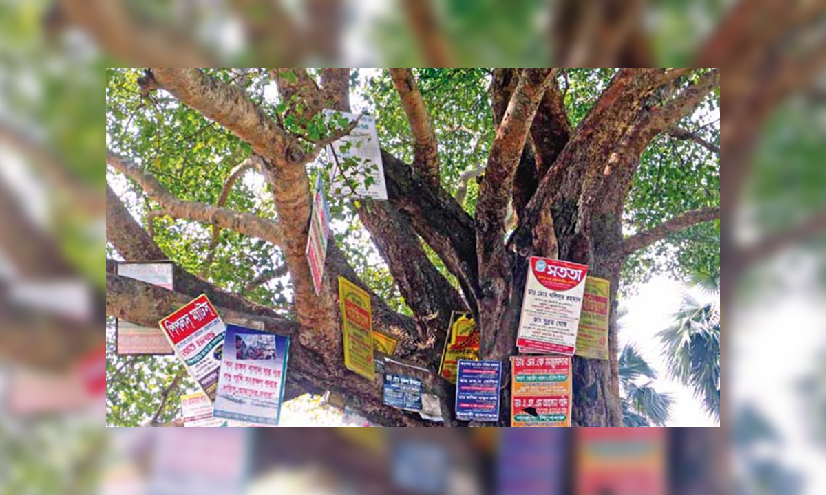 ছবি- সংগৃহীত