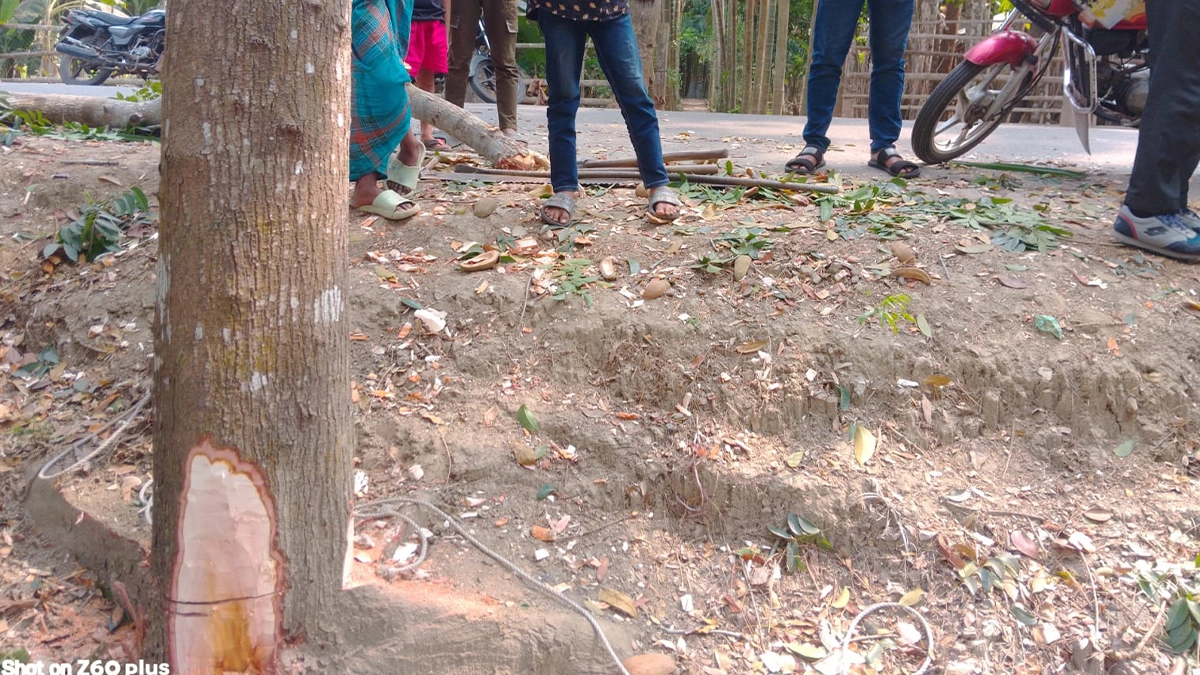 ছবি- রূপালী বাংলাদেশ