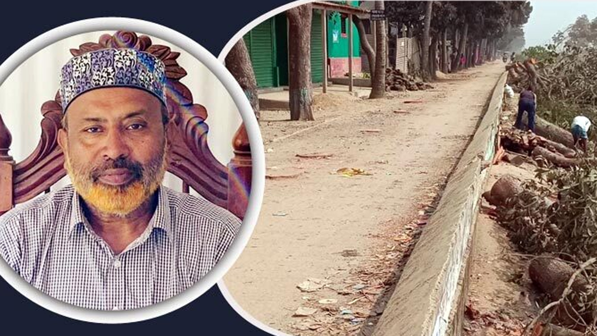 উপজেলা বিএনপির সভাপতি জাহিদুল আলম জাহাঙ্গীর। ছবি- সংগৃহীত