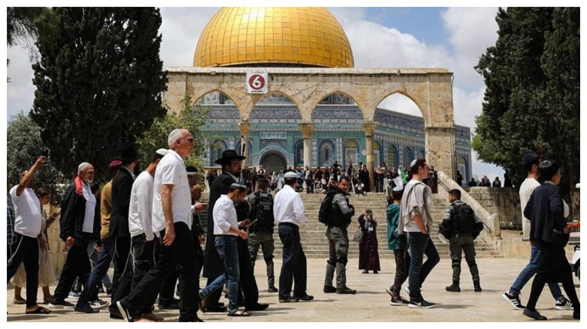 ছবি - সংগৃহীত