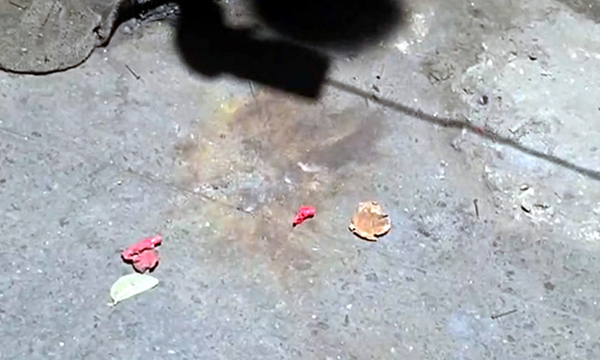 ছবি- সংগৃহীত