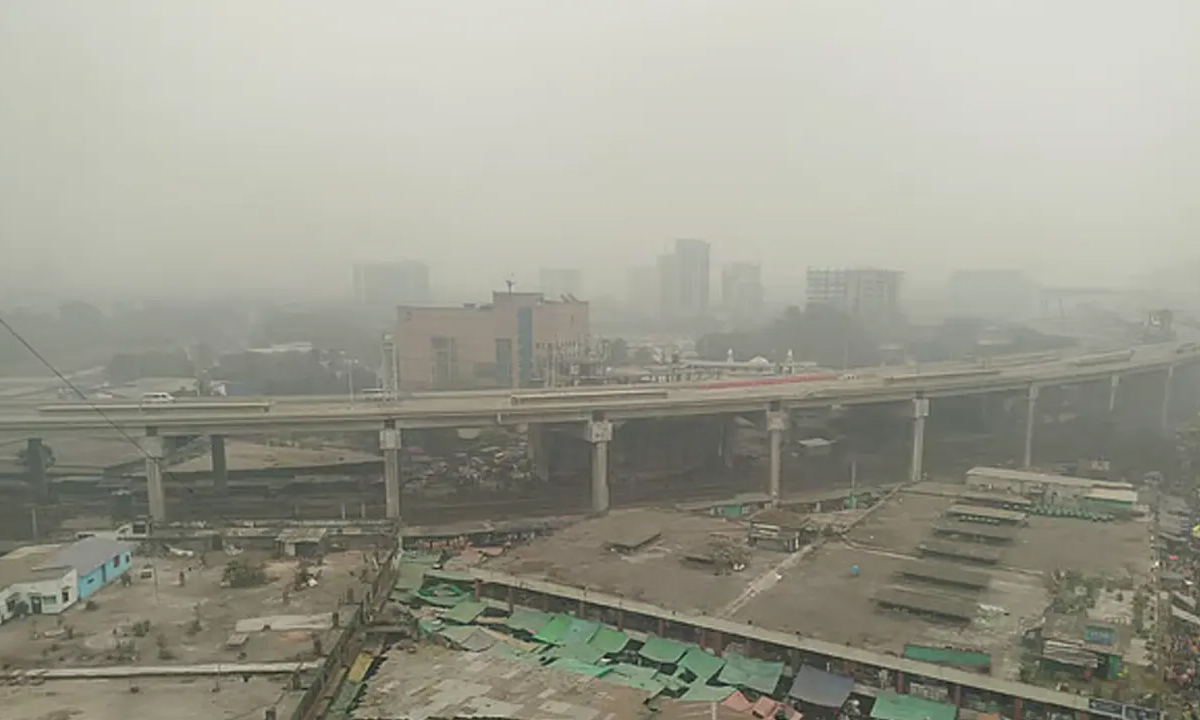কুয়াশা মোড়ানো সকাল। ছবি : সংগৃহীত