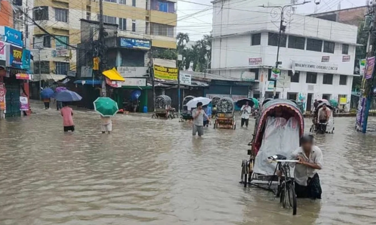 ছবি : সংগৃহীত