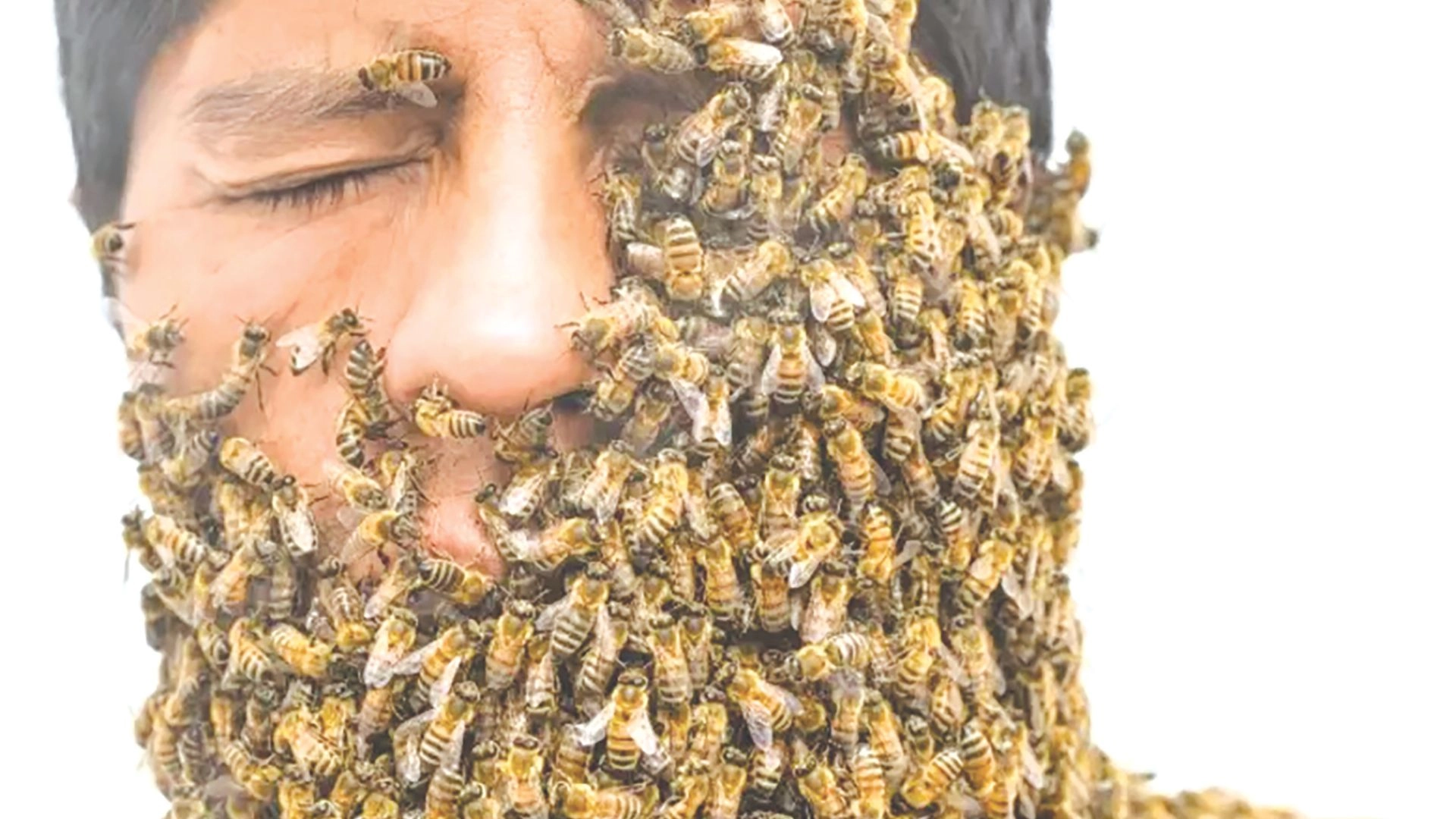 মৃত্যু খুঁজতে গিয়ে জীবন পেলেন এলি