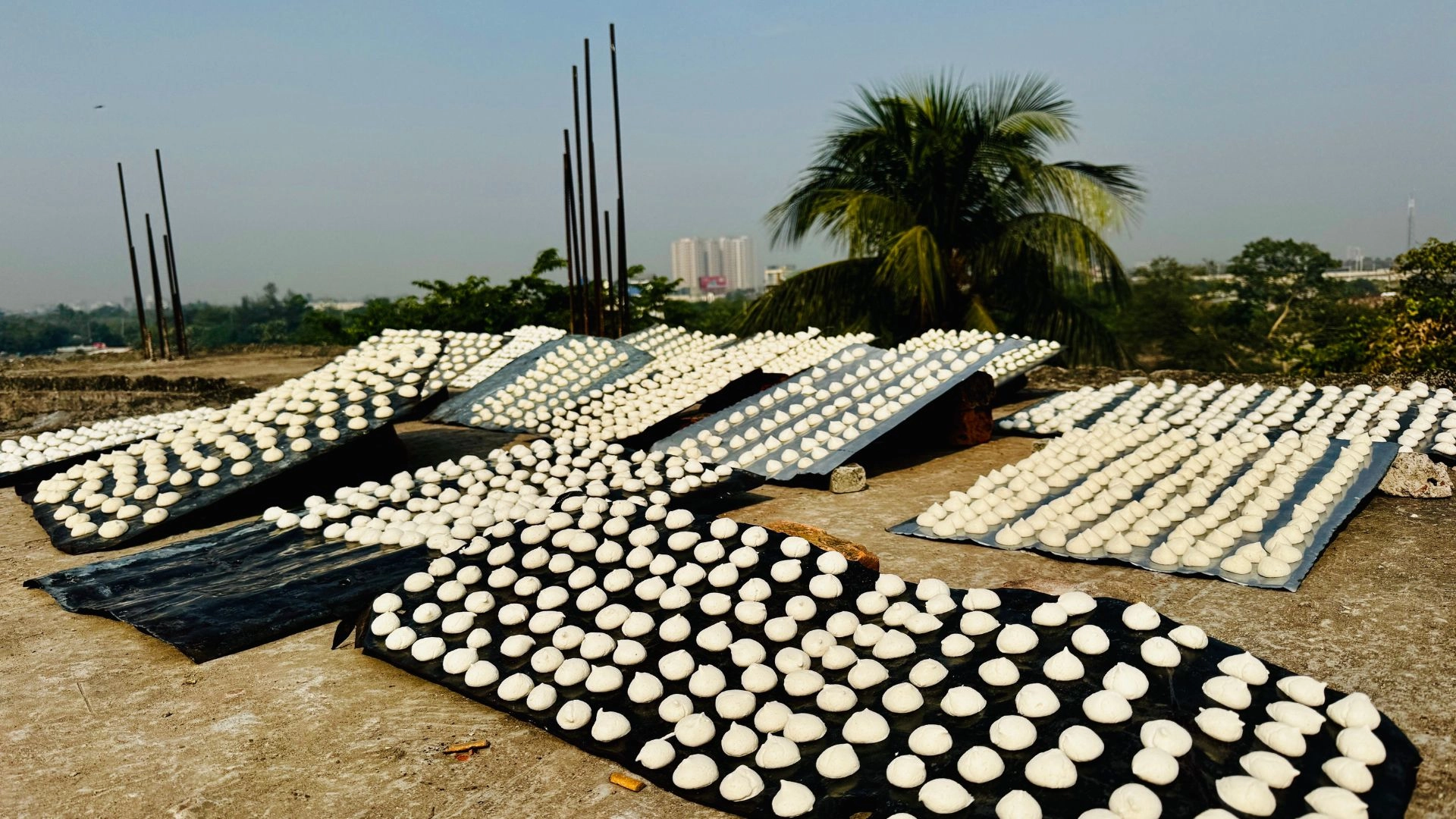 রূপগঞ্জে কুমড়ার বড়ি  তৈরিতে ব্যস্ত নারীরা