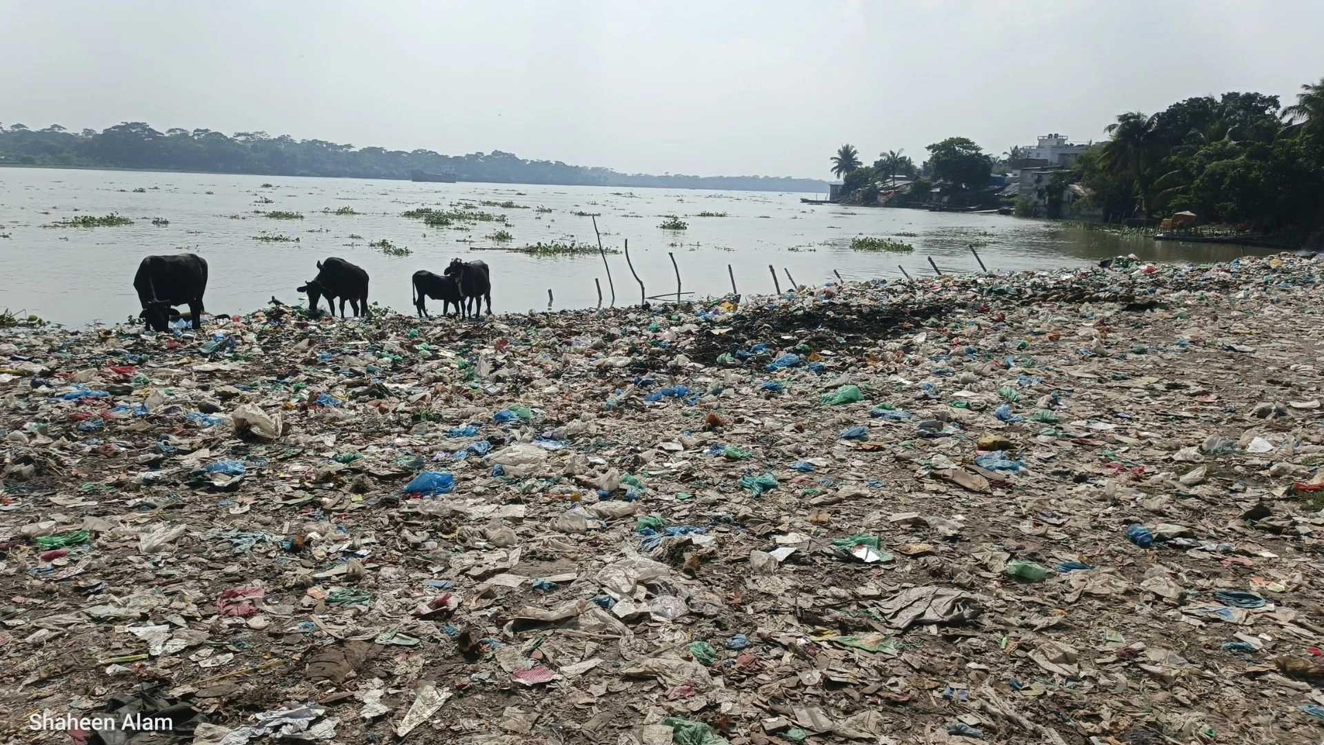বর্জ্যে দূষিত সুগন্ধা নদী