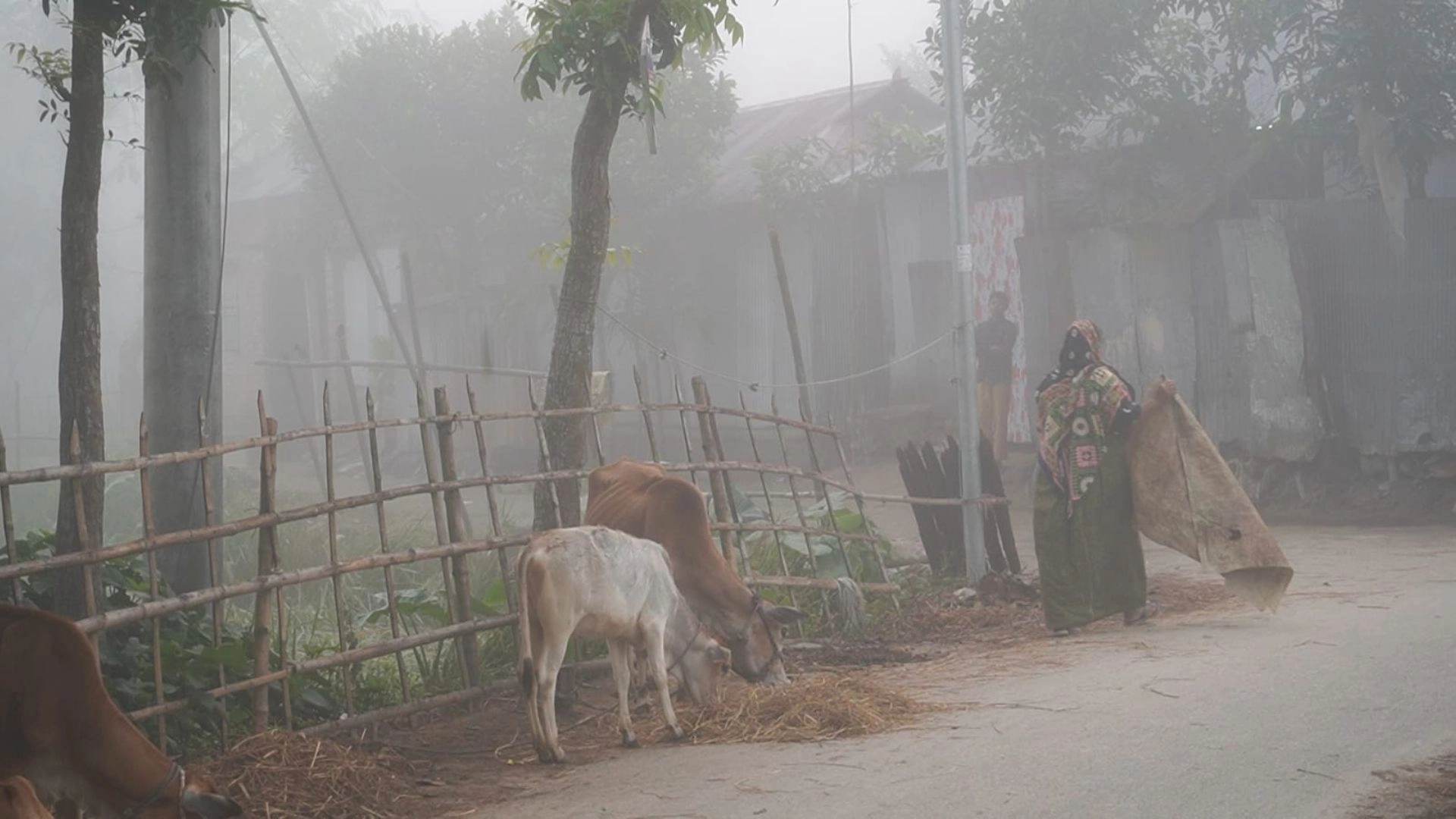 উত্তরবঙ্গে শীতের হাওয়া