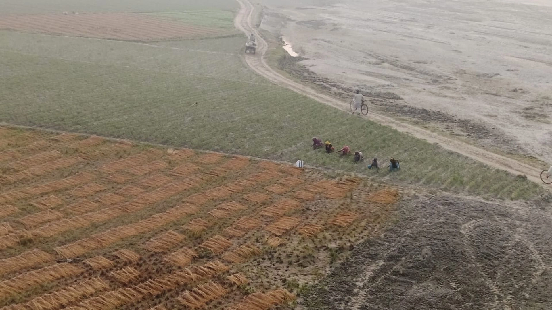 সম্ভাবনার নতুন ভোর উত্তরের চরে