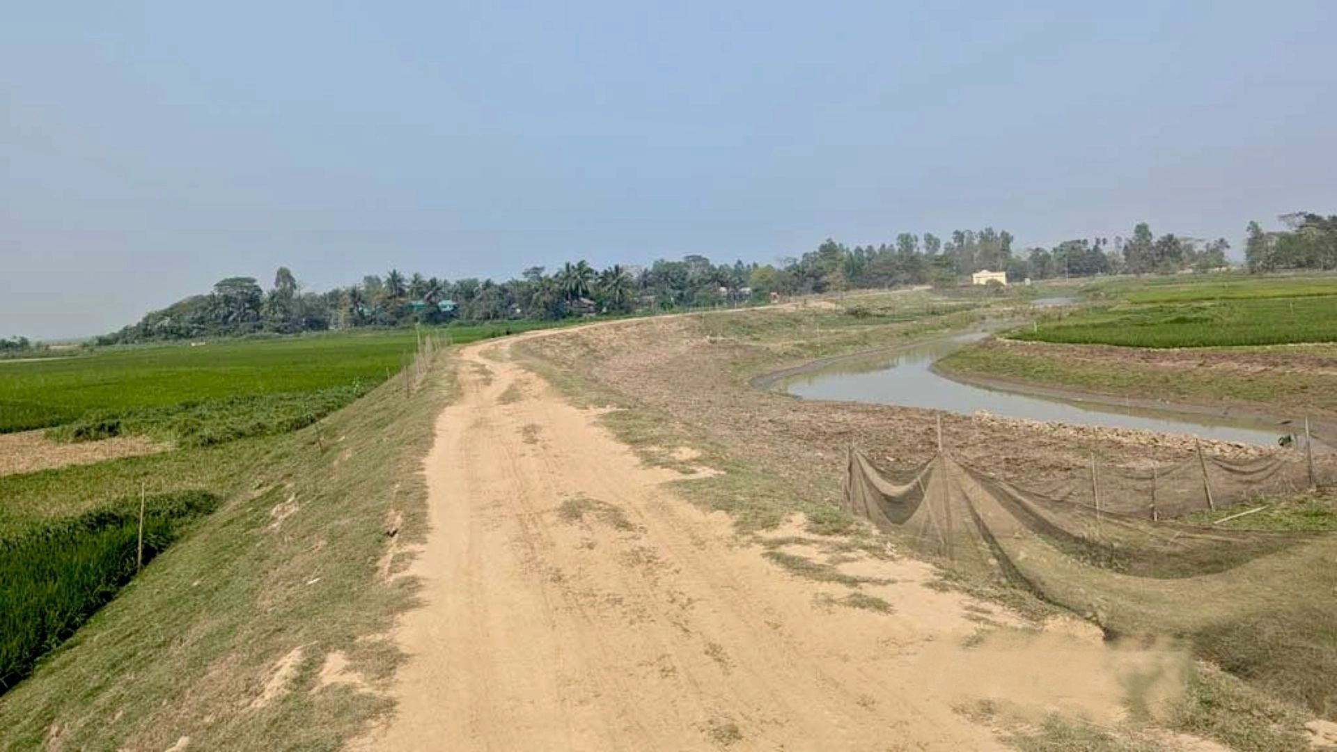 হাওরের বোরো ফসল ঝুঁকিতে