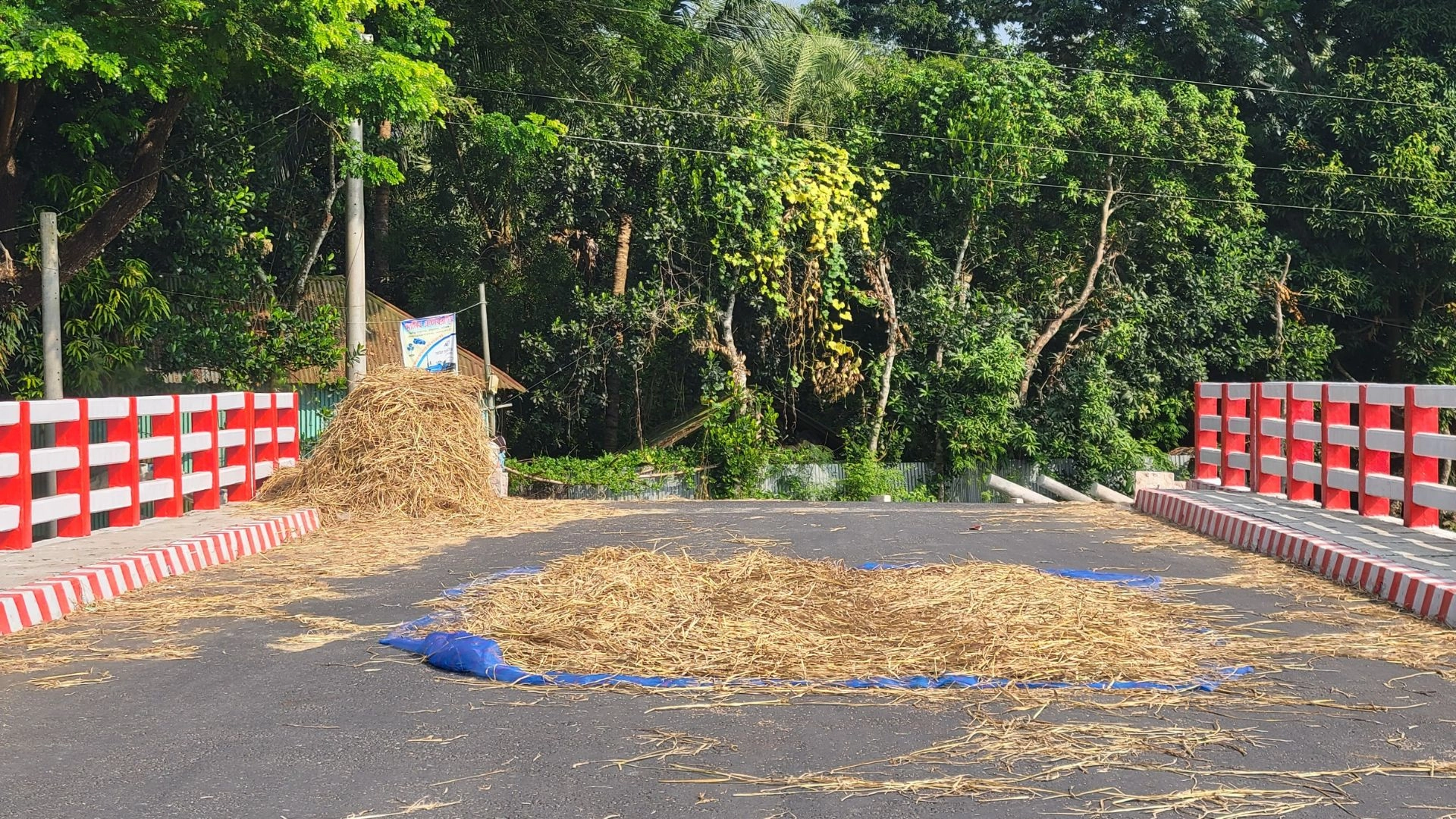 সড়ক যেন ধান-খড় শুকানোর চাতাল!