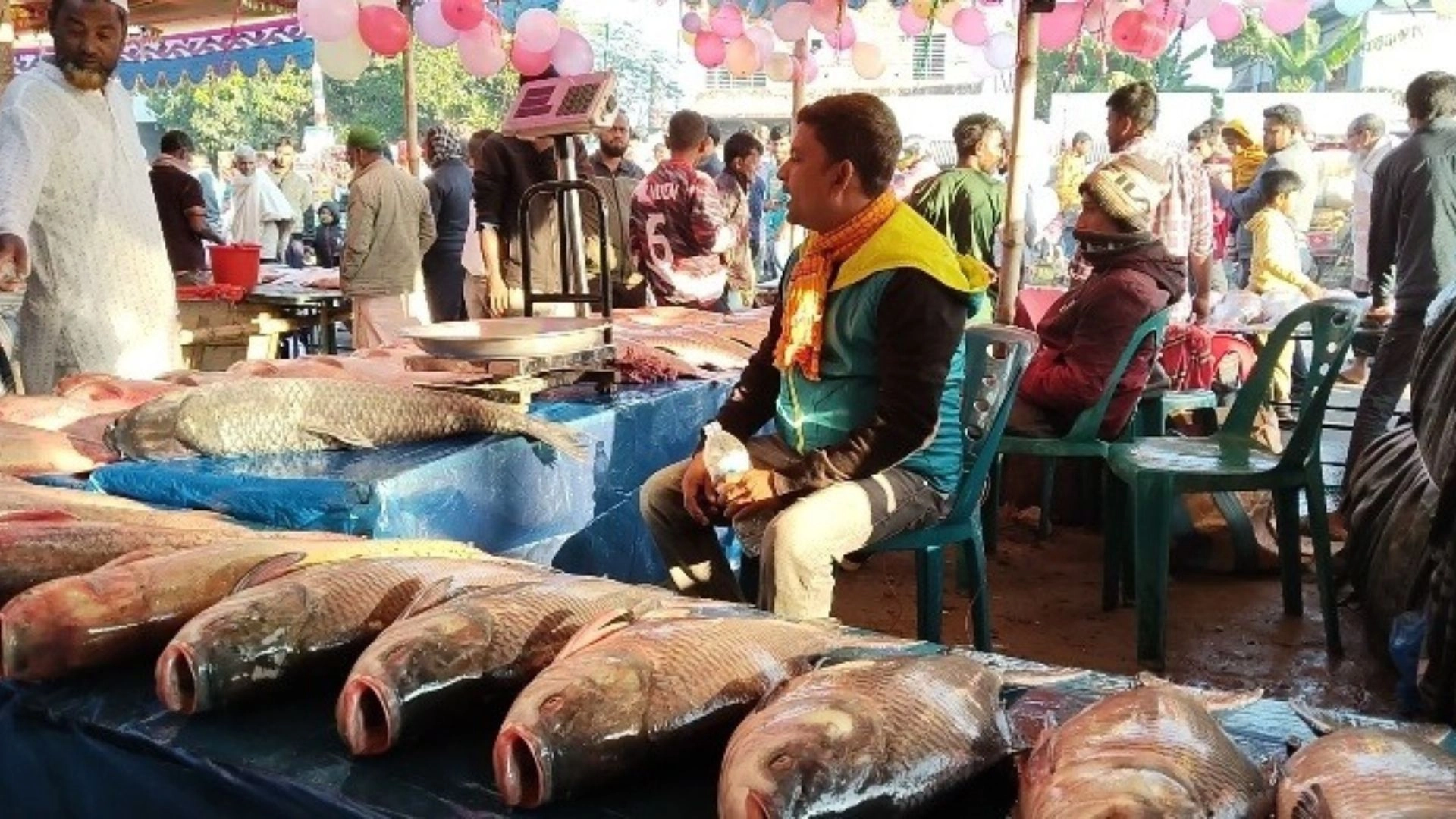 নবান্ন উপলক্ষে ঐতিহ্যবাহী মাছের মেলা