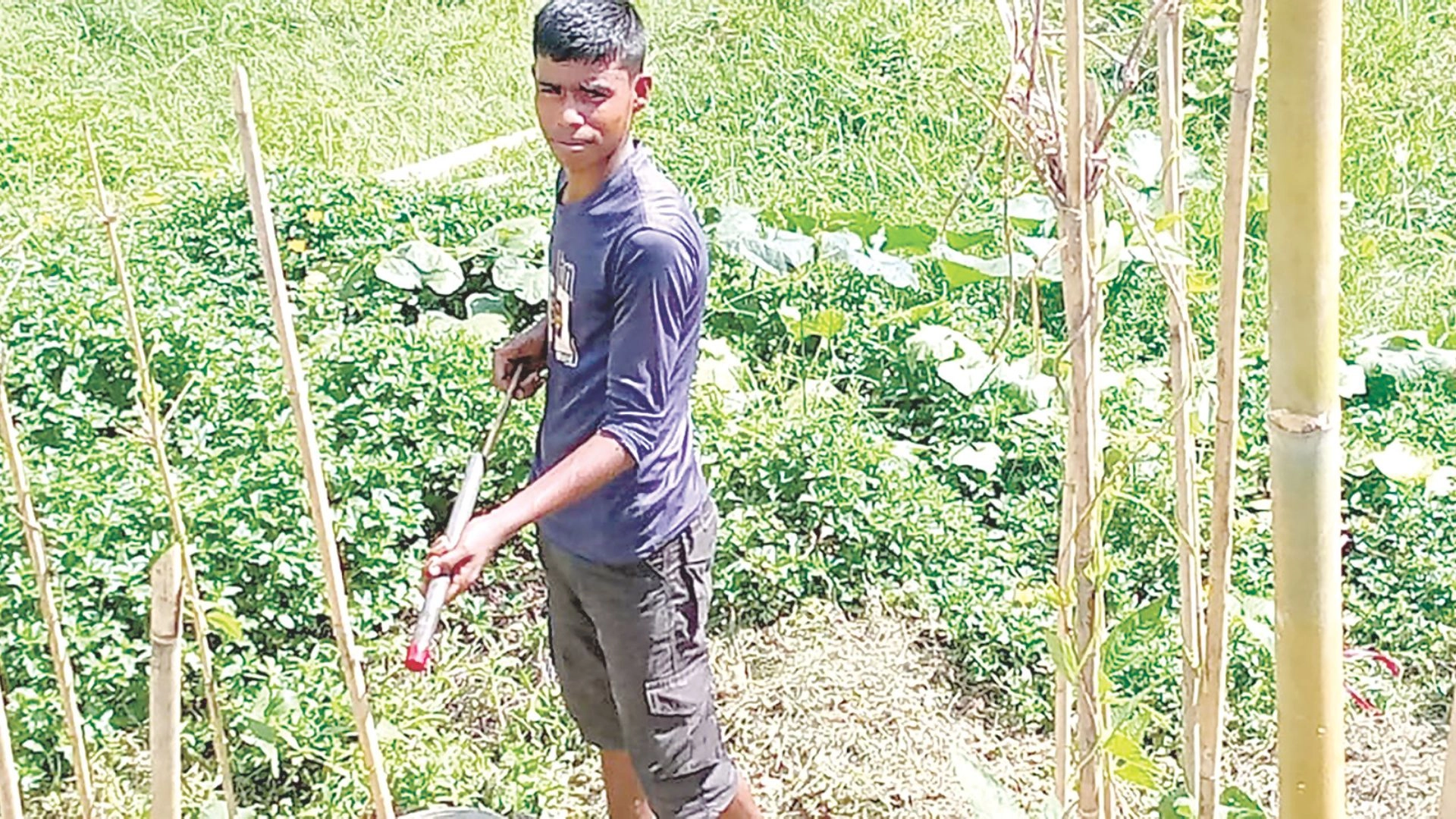 হালদার দুই তীরে বিষের ছড়াছড়ি