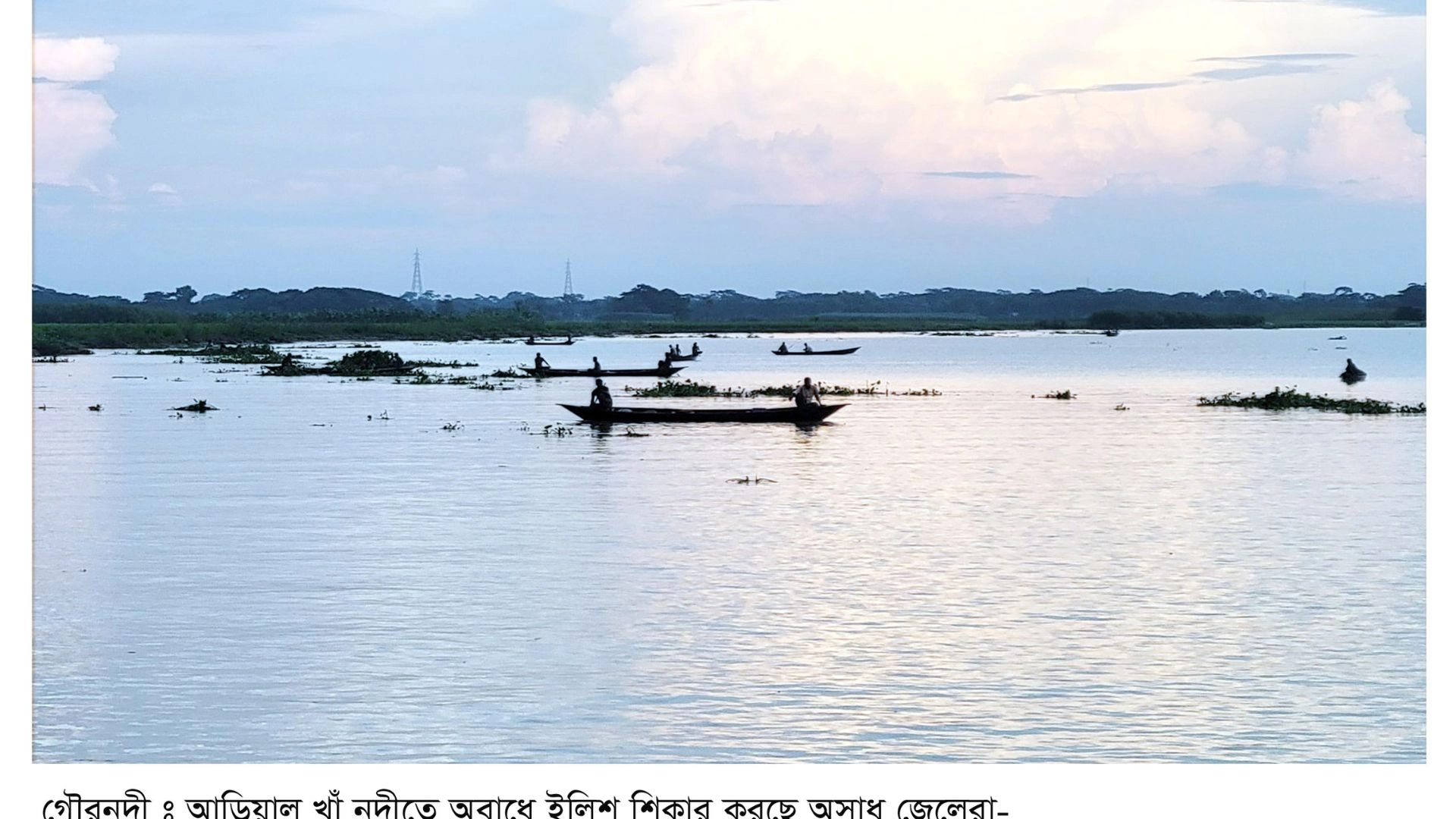 আড়িয়াল খাঁয় অবাধে  ইলিশ শিকার