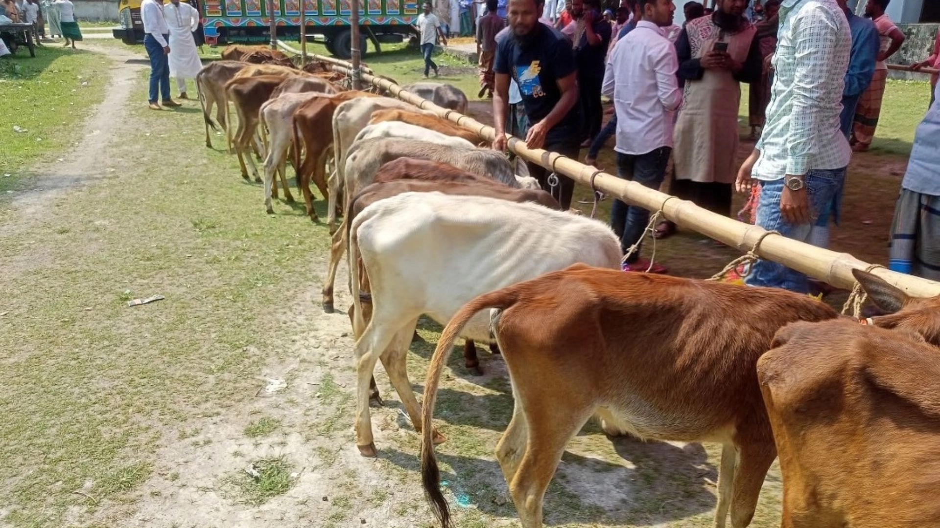 জেলেদের বরাদ্দের বাছুর  ভিন্ন পেশার হাতে
