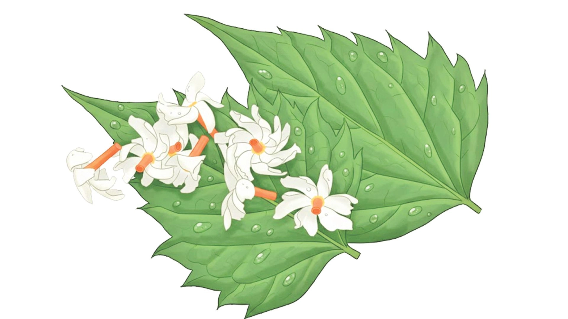 শীতের সকাল