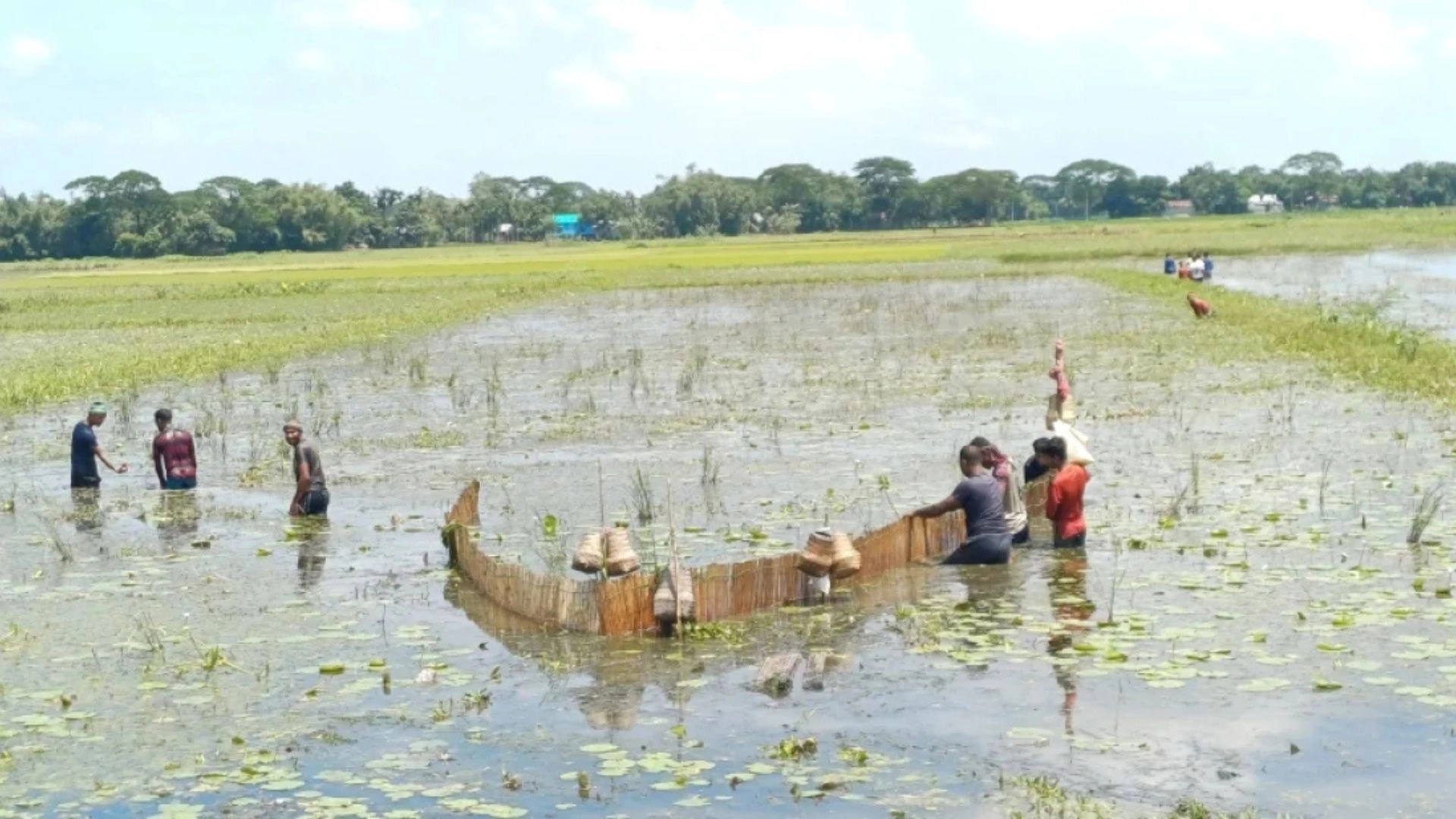 হারিয়ে যাচ্ছে  পলো ও বানা