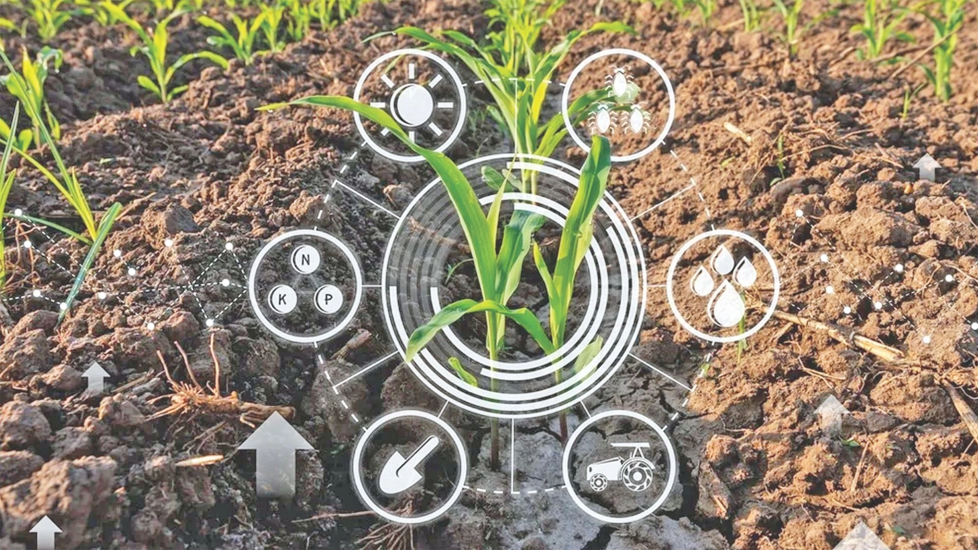 জৈব সারের সহজ প্রয়োগ