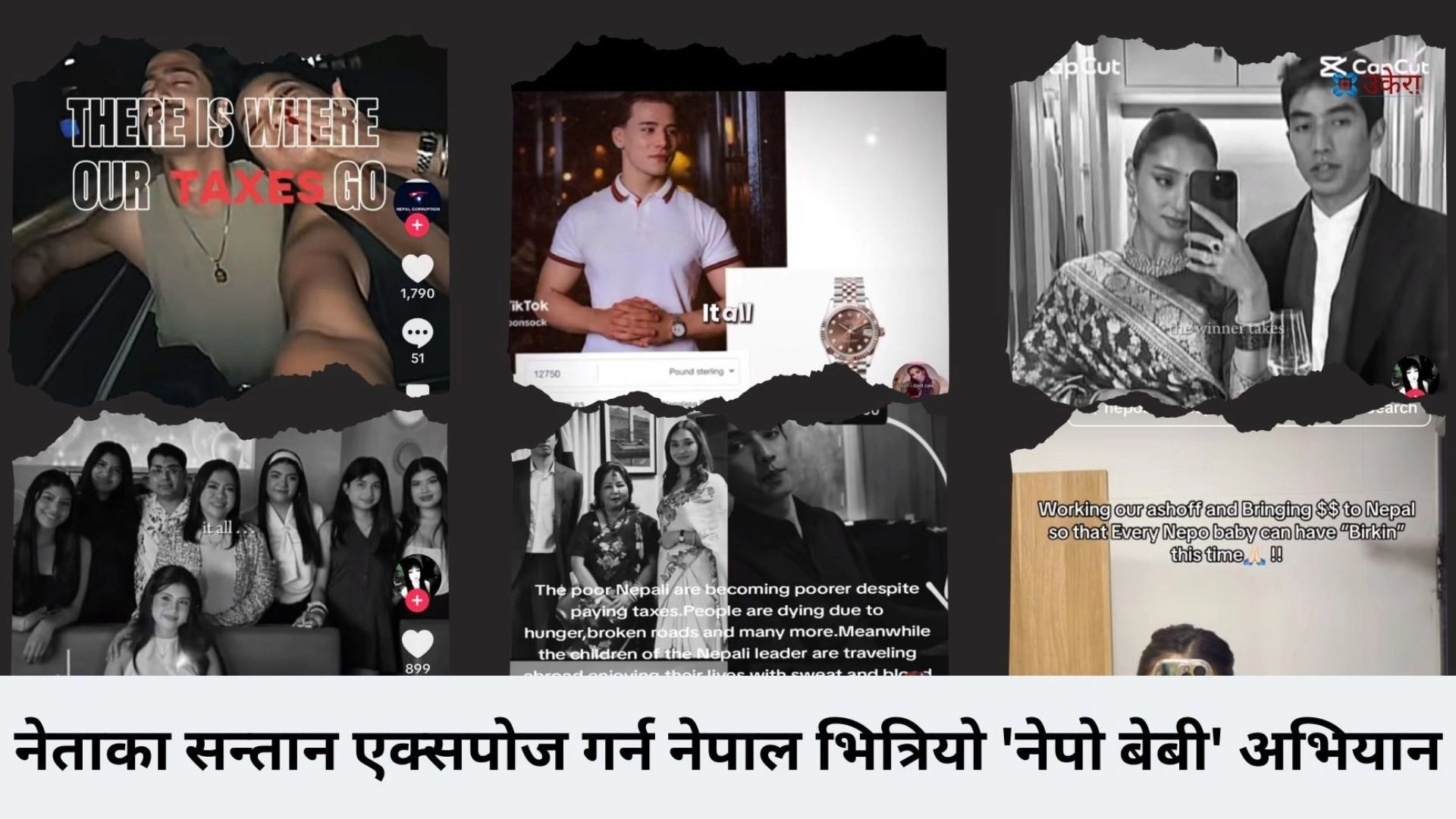 কারা এই নেপো কিডস, কেন তাদের প্রতি ক্ষুব্ধ