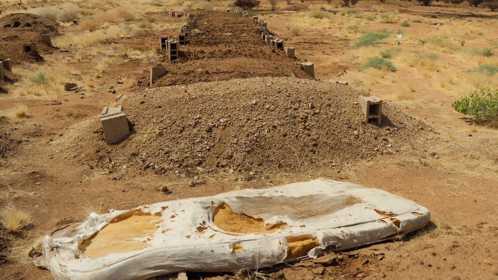 গণহত্যা লুকাতে গণকবর খুঁড়ছে আরএসএফ