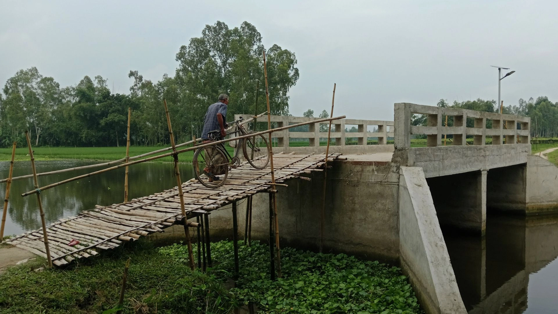 বাঁশের মই বেয়ে সেতু পারাপার