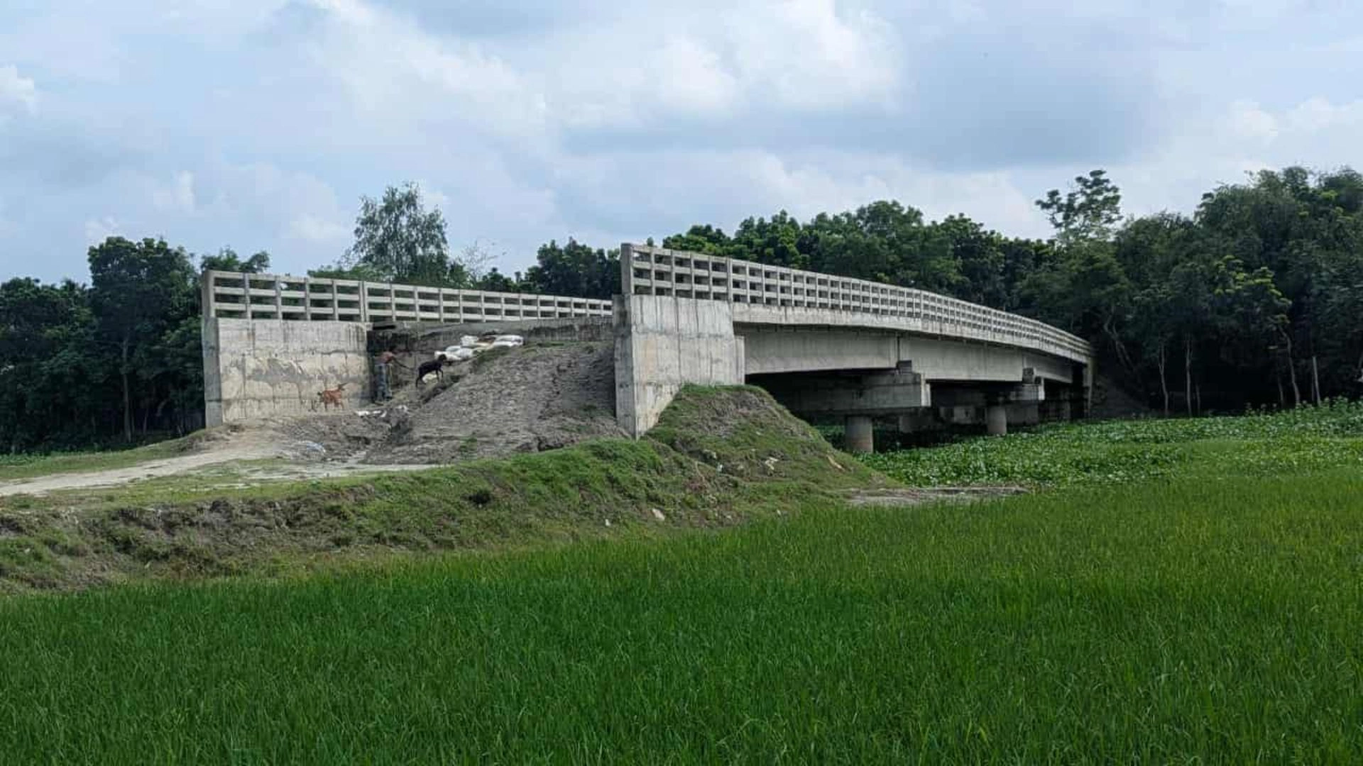 স্বপ্নের সেতুতে দুর্ভোগ