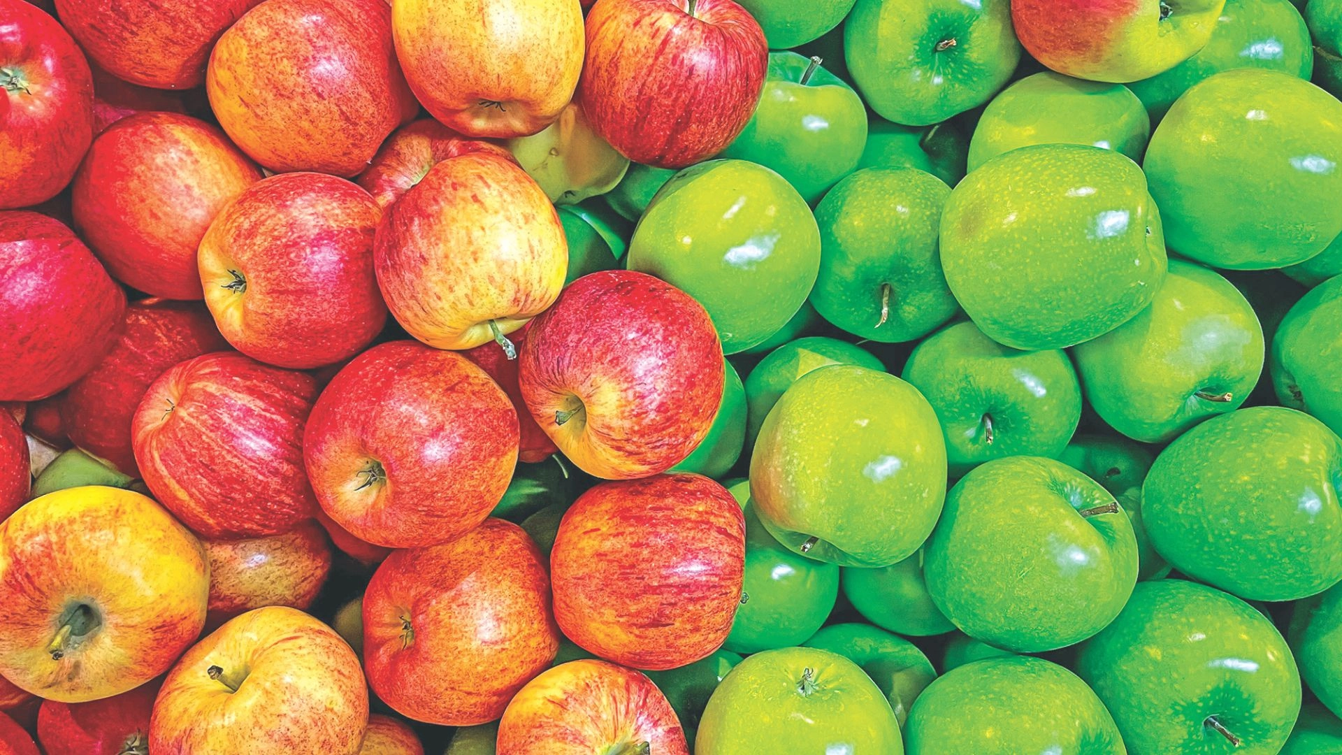 কোন আপেলে পুষ্টিগুণ  বেশি, লাল নাকি সবুজ